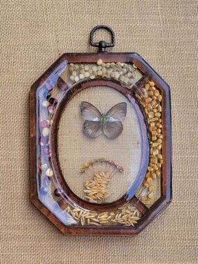 Vintage Floral Seeds Butterfly Lucite Resin Decorative Trivet/Wall Art